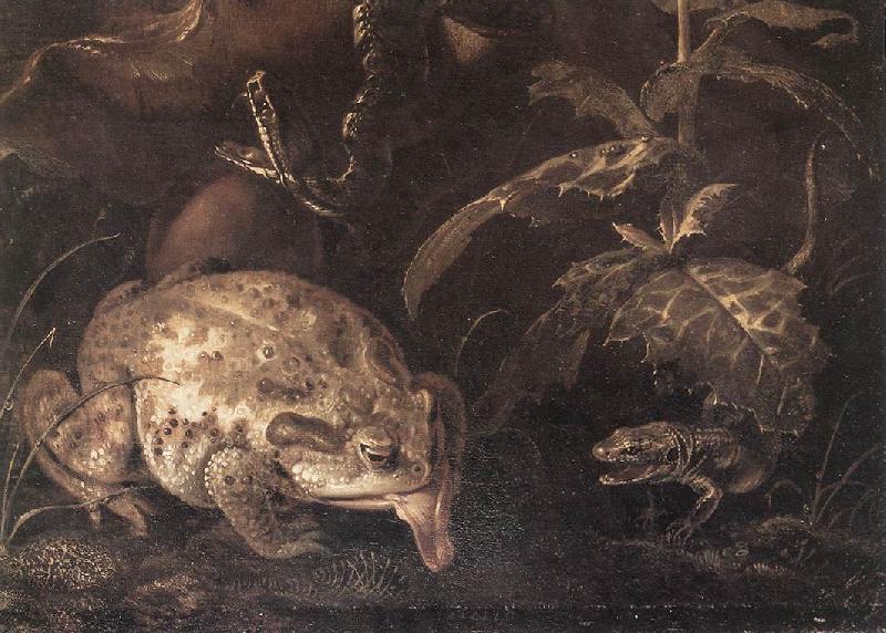 SCHRIECK, Otto Marseus van Still-Life with Insects and Amphibians (detail) qr Sweden oil painting art